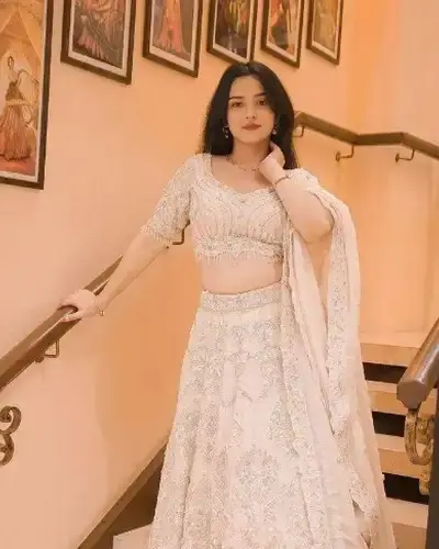 Escort Narkhed